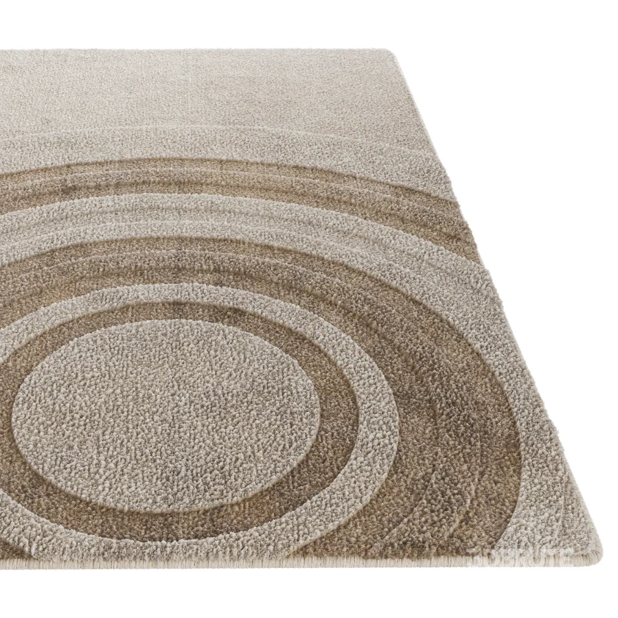 Carpet 16 Image 3