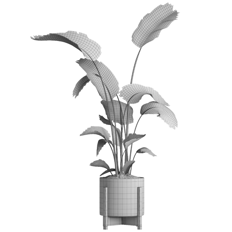 indoor plant 076 Image 4