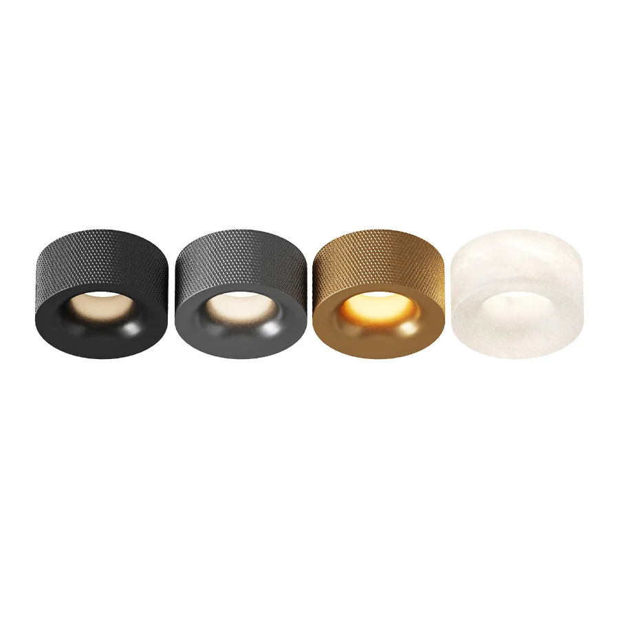 Aromas Del Campo Focus Ceiling Lamp Image 1