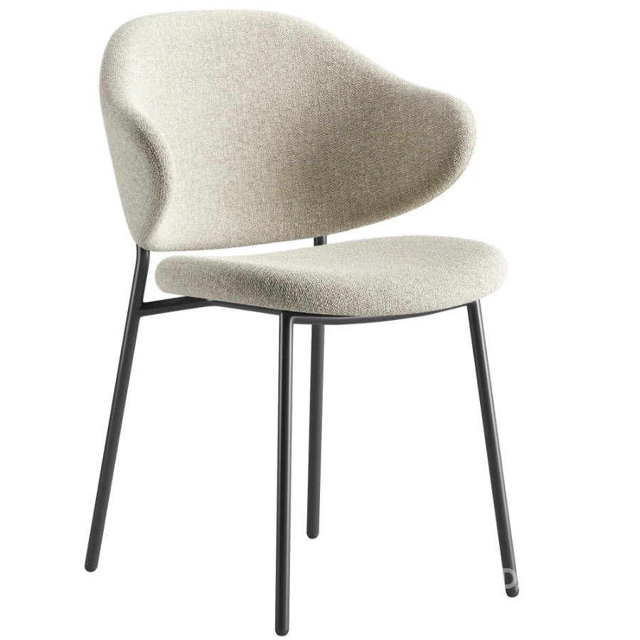 Bassi Chair Image 3