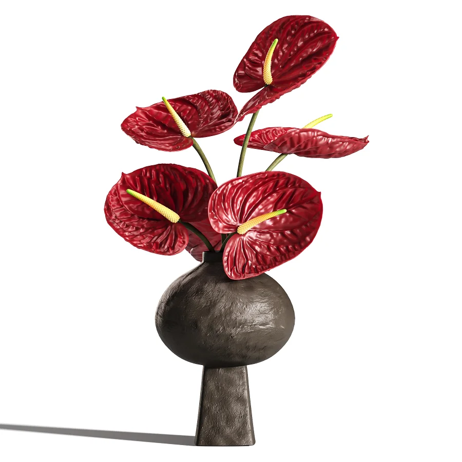 Burgundy and Olive Anthurium 61 Image 3