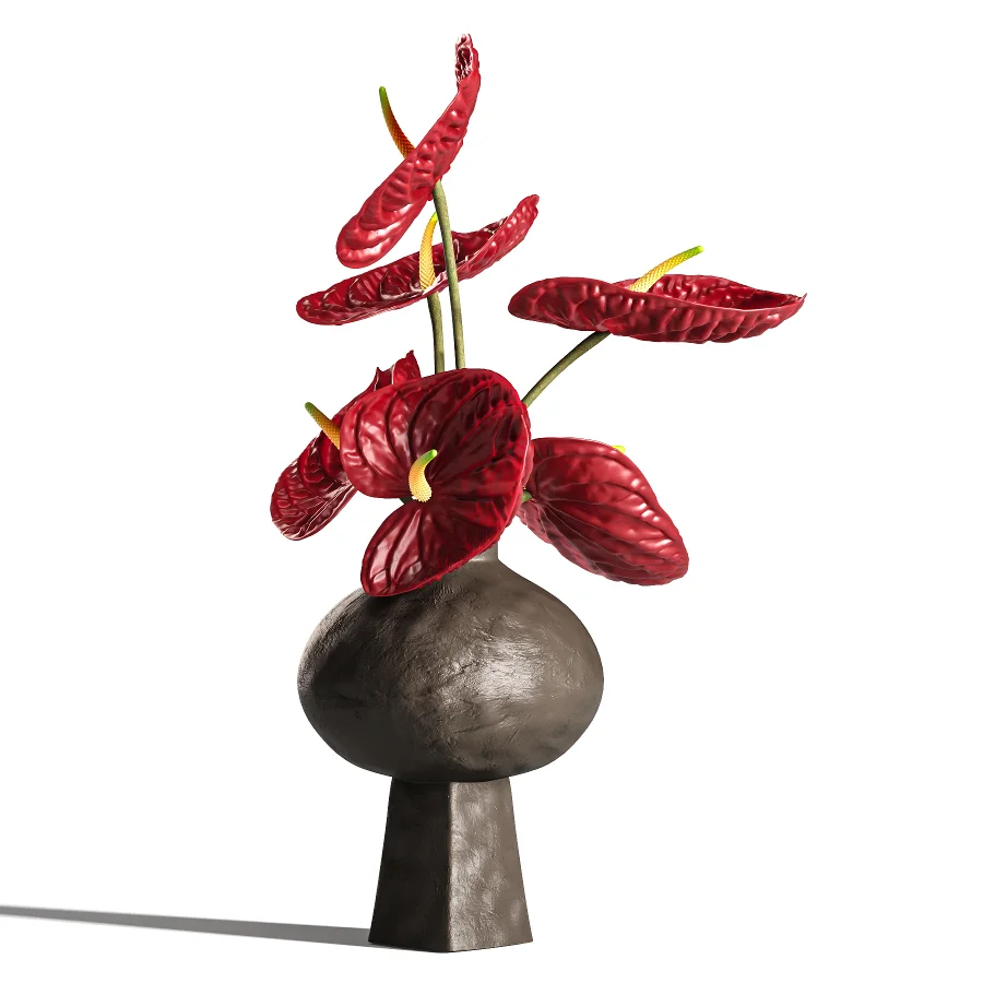 Burgundy and Olive Anthurium 61 Image 5