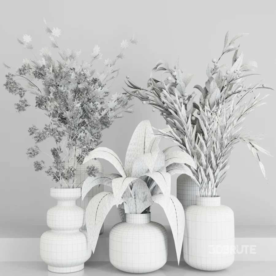 Plant Collection 017 Image 1