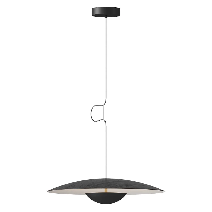 Ginger Pendant light Image 4