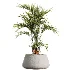 ntal greenery, making it an excellent choice for luxury interiors, hospitality spaces, commercial environments, and architectural landscape scenes. - Thumbnail 3