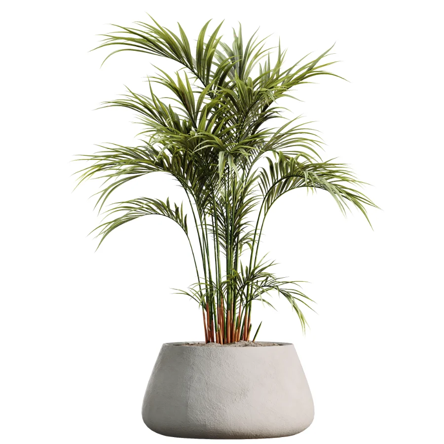ntal greenery, making it an excellent choice for luxury interiors, hospitality spaces, commercial environments, and architectural landscape scenes. Image 3