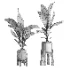 indoor plant 044 - Thumbnail 2