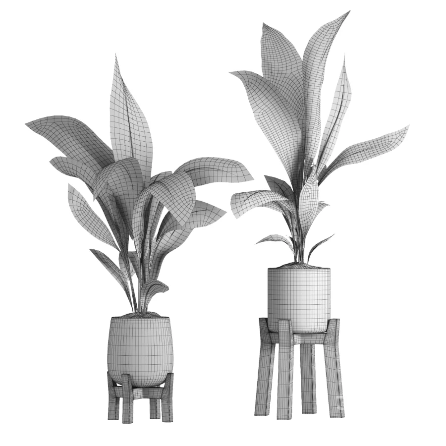 indoor plant 044 Image 2