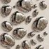 Chrome Bubble Wall Decor 26 - Thumbnail 3