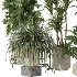 Indoor plants set - Thumbnail 3