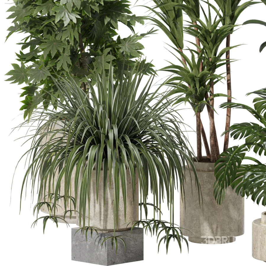 Indoor plants set Image 3