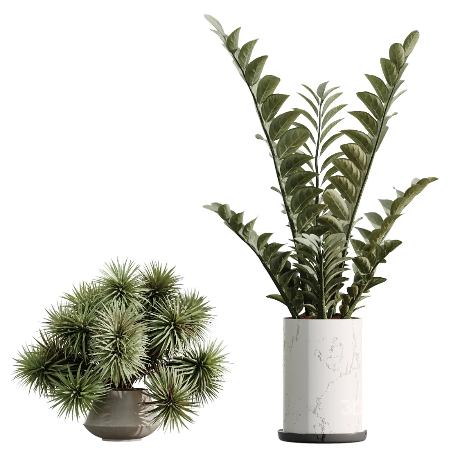 AV Indoor Plants Set 476 Yucca Elephantipes and Olive Tree and Zamioculcas Zamiifolia and Peace Lily Image 7