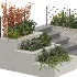 Backyard garden plants and flower shrubs - Thumbnail 3