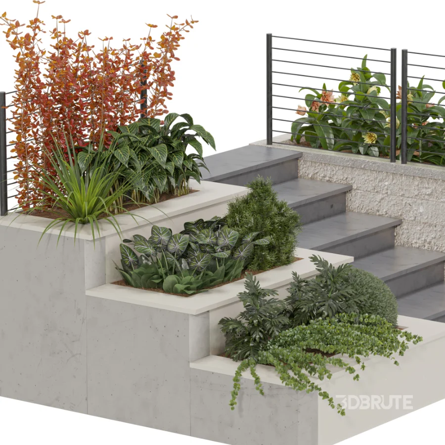 Backyard garden plants and flower shrubs Image 3