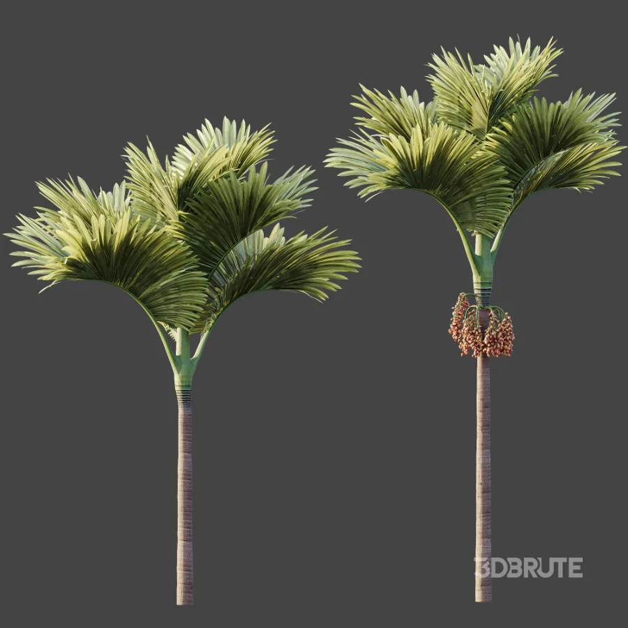 ntal fruits. Image 8
