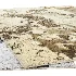 Carpet - Thumbnail 2