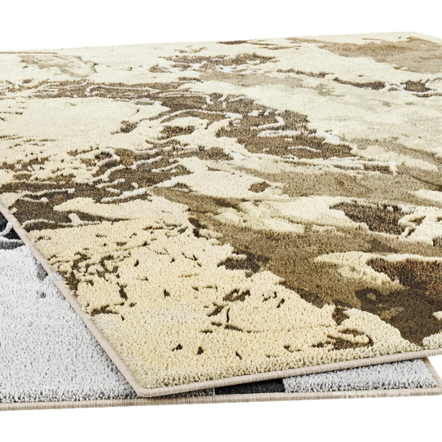 Carpet Image 2
