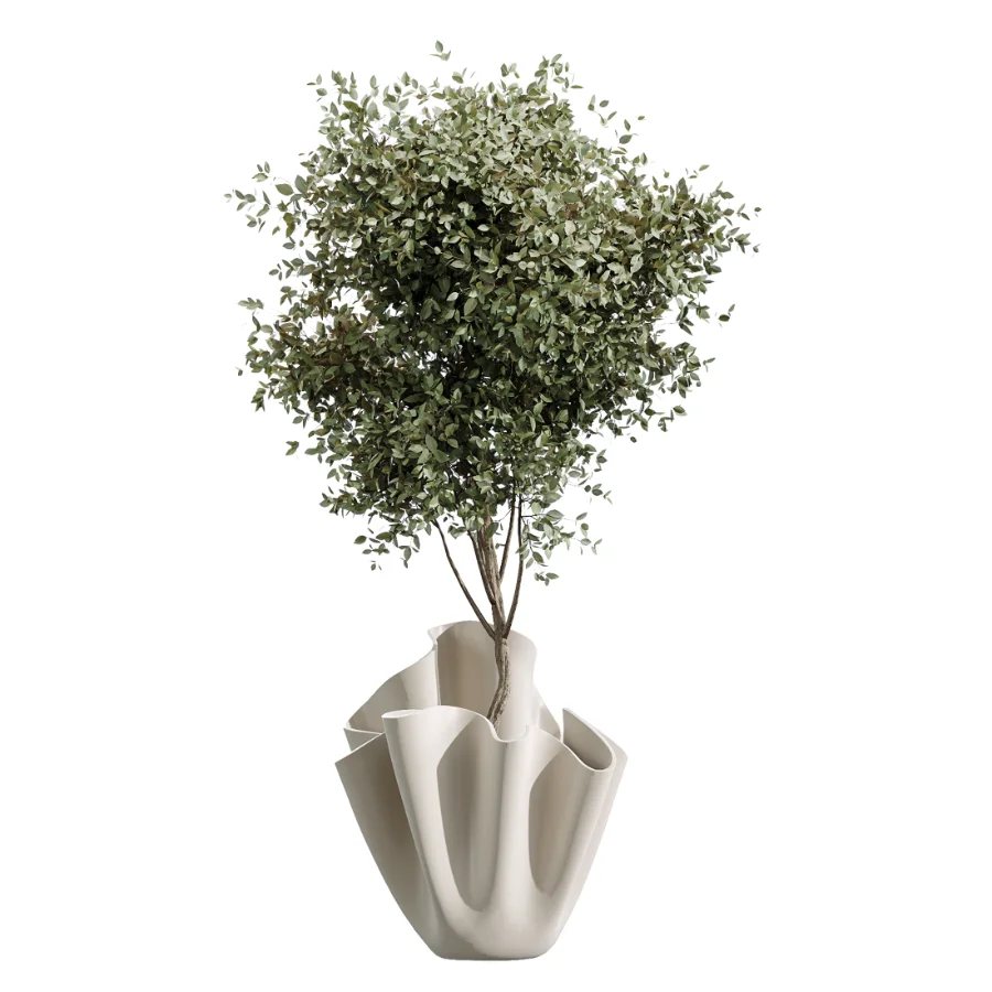 AV Indoor Plants Set 487 Lady Palm and Olive Tree and Snake Sansevieria Image 5