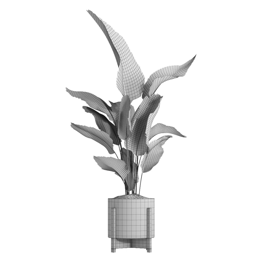 indoor plant 053 Image 1