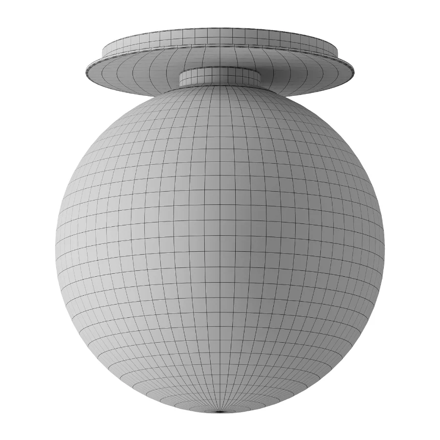 TR Bulb Ceiling Lamp Image 4