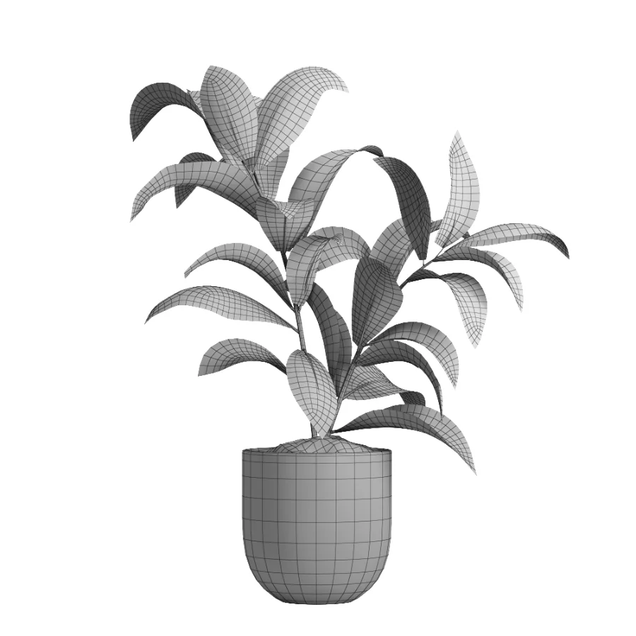 indoor plant 047 Image 2