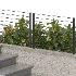 Backyard garden plants and flower shrubs - Thumbnail 4