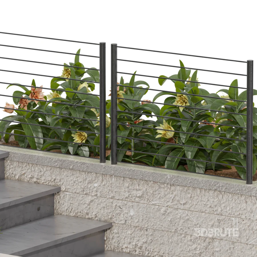 Backyard garden plants and flower shrubs Image 4