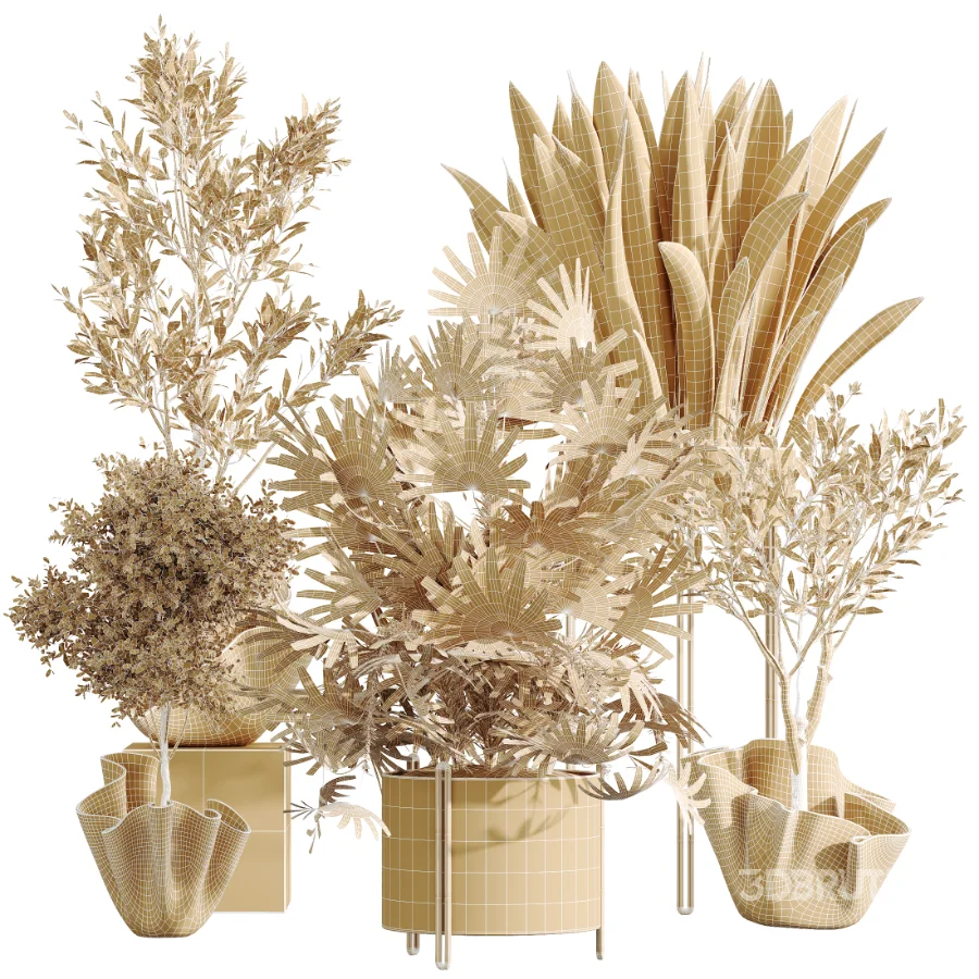 AV Indoor Plants Set 487 Lady Palm and Olive Tree and Snake Sansevieria Image 10
