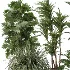 Indoor plants set - Thumbnail 2