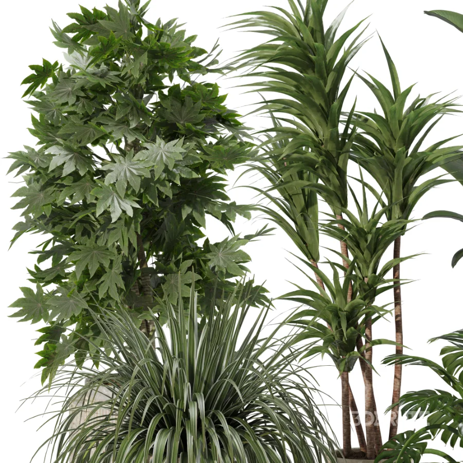 Indoor plants set Image 2