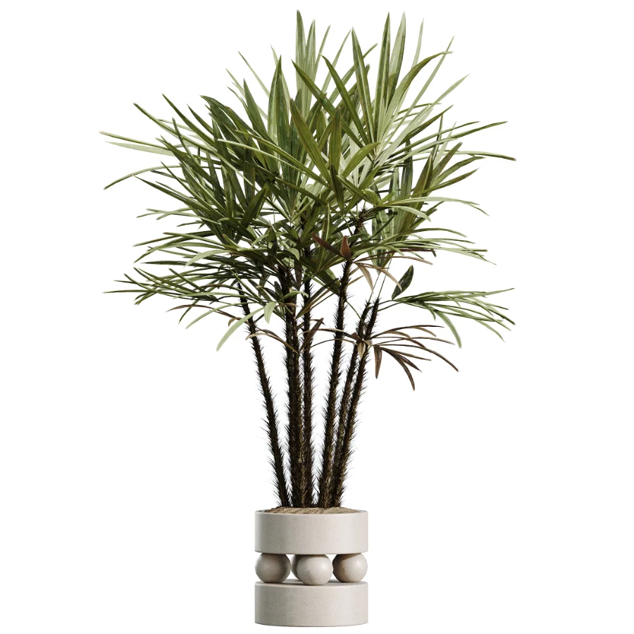 AV Indoor Plants Set 490 Yucca Olive Artificial Rhapis Orange Palm Image 5