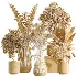 AV Indoor Plants Set 498 Cat Reed Palm Ficus Olive Zamioculcas - Thumbnail 6