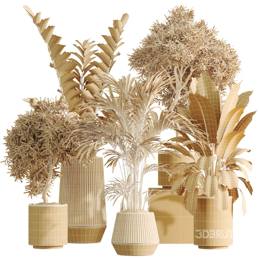 AV Indoor Plants Set 498 Cat Reed Palm Ficus Olive Zamioculcas Image 6