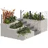 Backyard garden plants and flower shrubs - Thumbnail 2