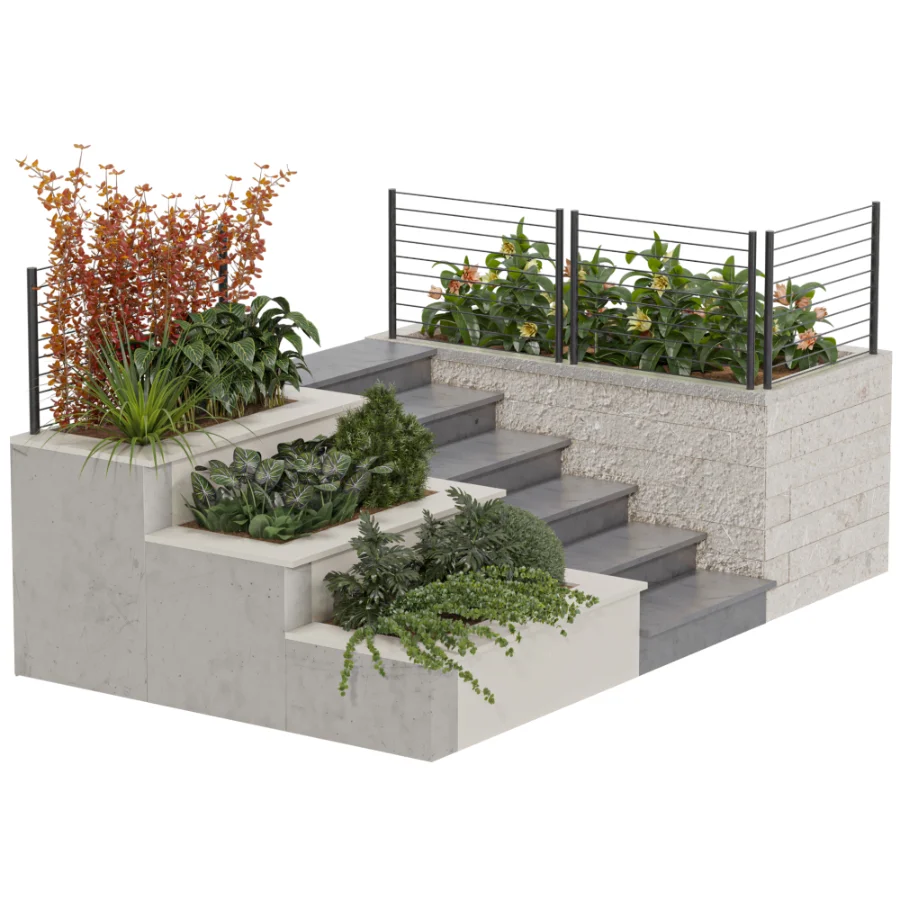Backyard garden plants and flower shrubs Image 2