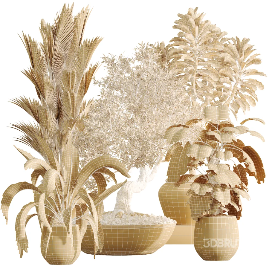 AV Indoor Plants Set 477 Elegant Monstera and Peace Lily and Chemlali Olive and Euphorbia Drupifera and Cat Reed Palm Image 12