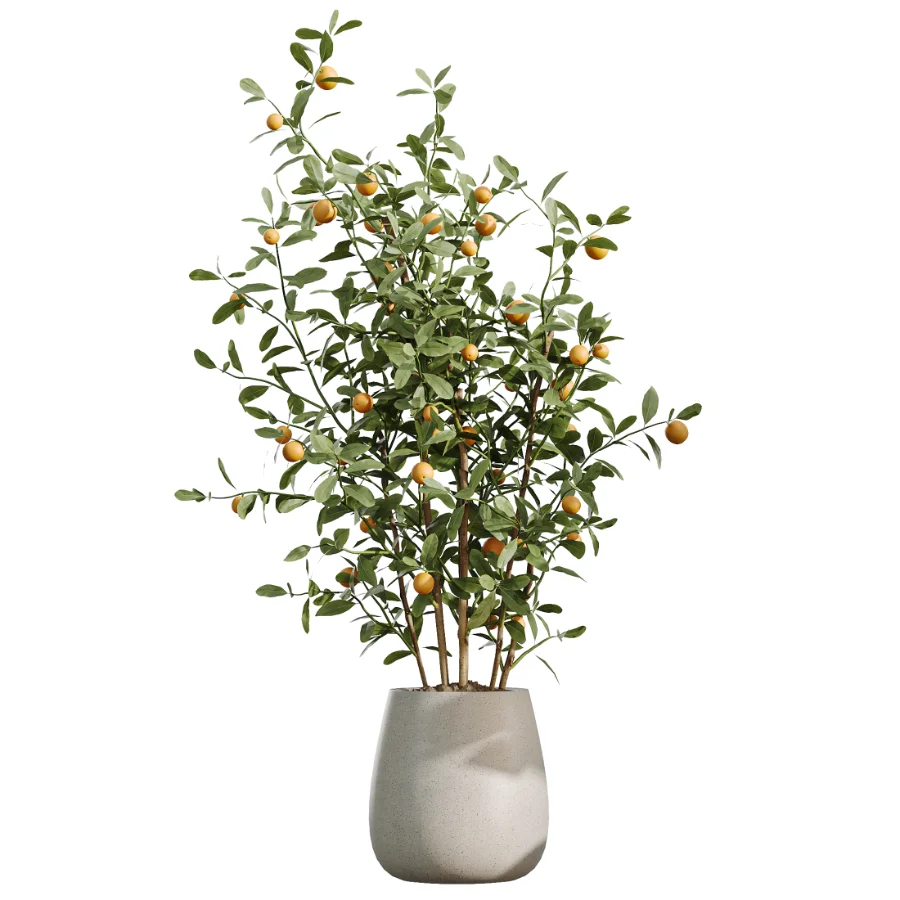 AV Indoor Plants Set 490 Yucca Olive Artificial Rhapis Orange Palm Image 6
