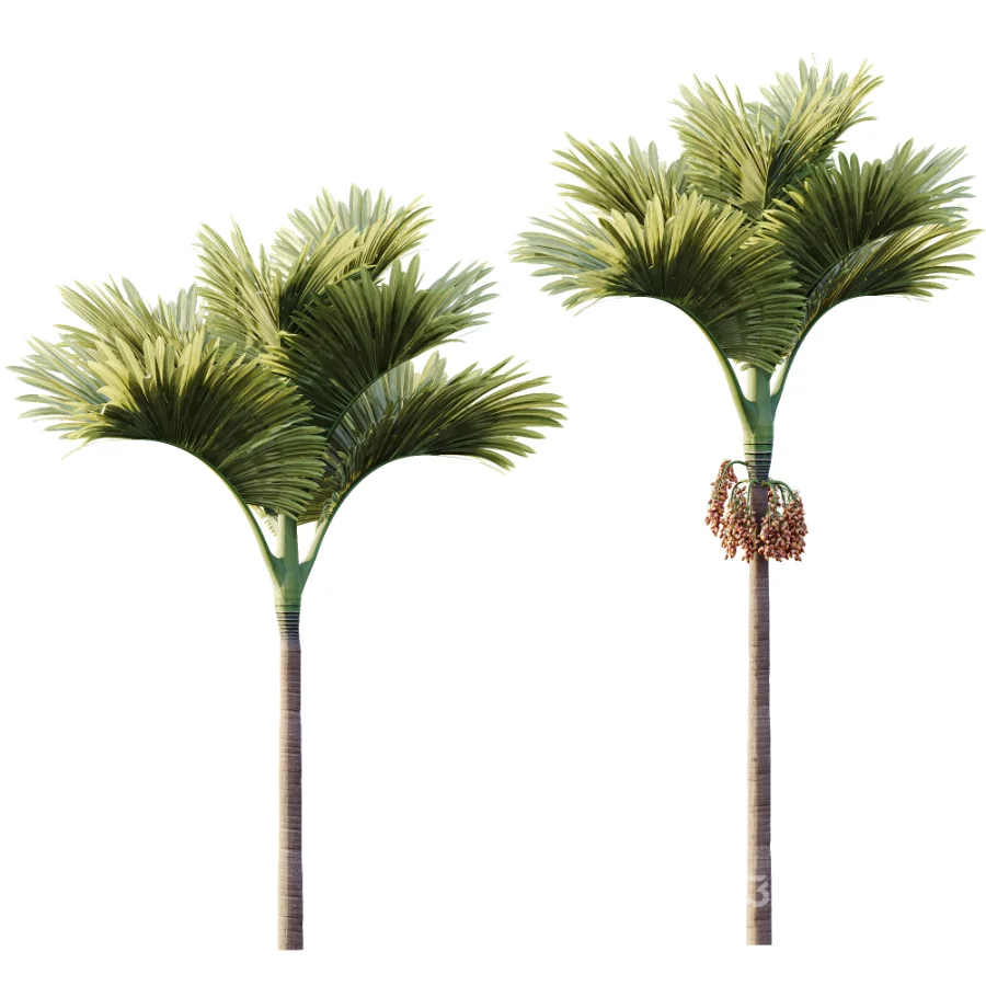 ntal fruits. Image 5