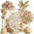 AV Indoor Plants Set 480 Olive Palm ParadiseBird Yucca - Thumbnail 7