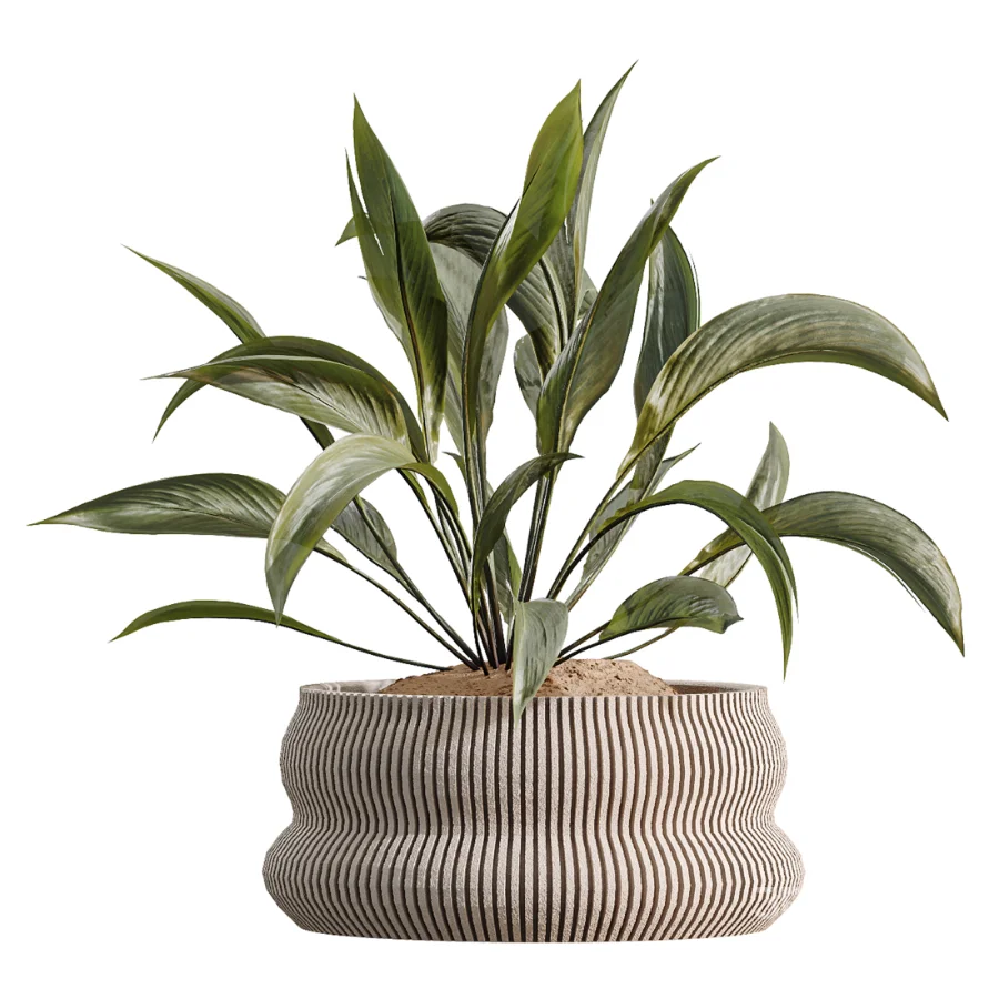 ntal plant species to create a balanced composition suitable for modern interiors, outdoor environments, and high-end architectural scenes. Image 6