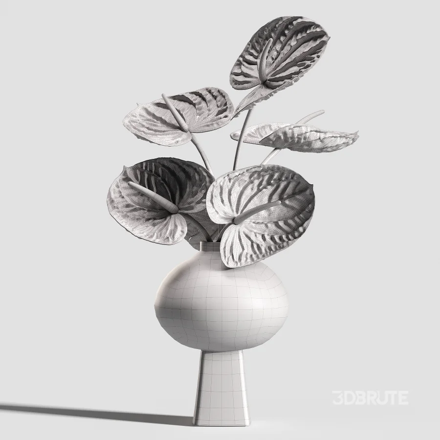 Burgundy and Olive Anthurium 61 Image 6