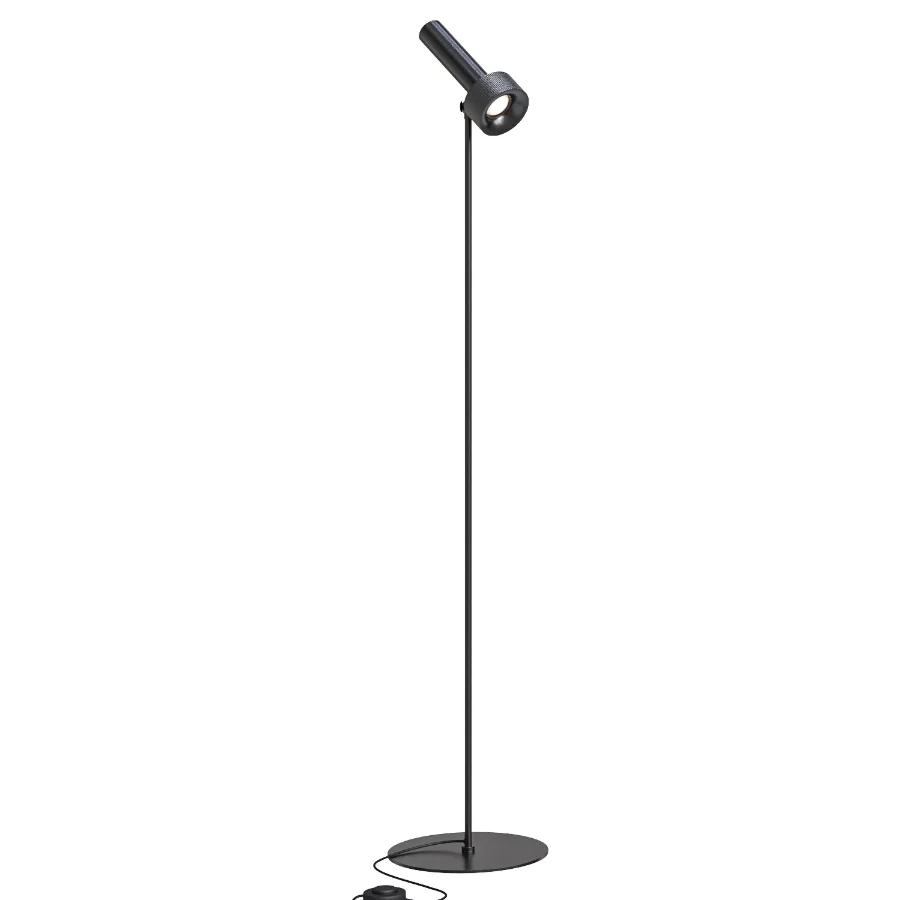 Focus Floor Lamp Image 1