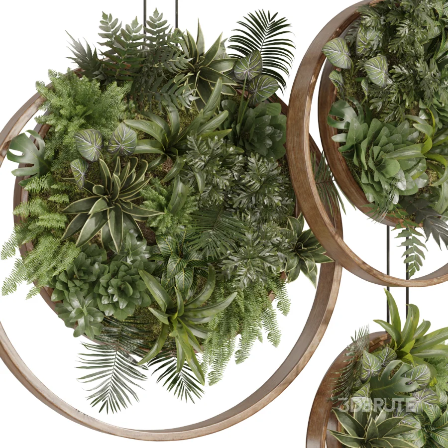 Indoor_plants_circle_panels Image 3