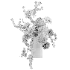Radiant Contrast Bouquet - Thumbnail 5