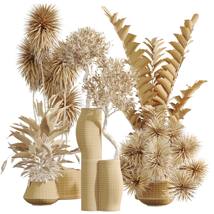 AV Indoor Plants Set 476 Yucca Elephantipes and Olive Tree and Zamioculcas Zamiifolia and Peace Lily Image 10