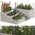 Backyard garden plants and flower shrubs - Thumbnail 1