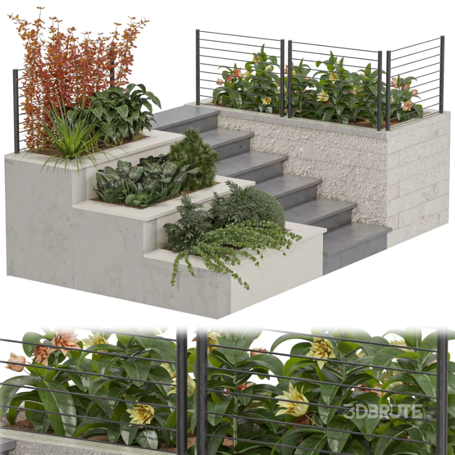 Backyard garden plants and flower shrubs Image 1