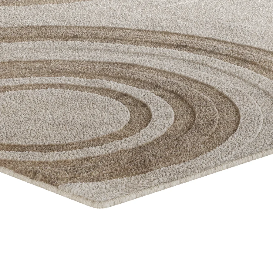 Carpet 16 Image 4
