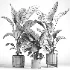 indoor plant 043 - Thumbnail 2