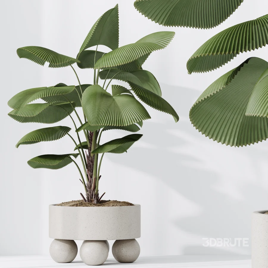 AV Indoor Plants Set 490 Yucca Olive Artificial Rhapis Orange Palm Image 7
